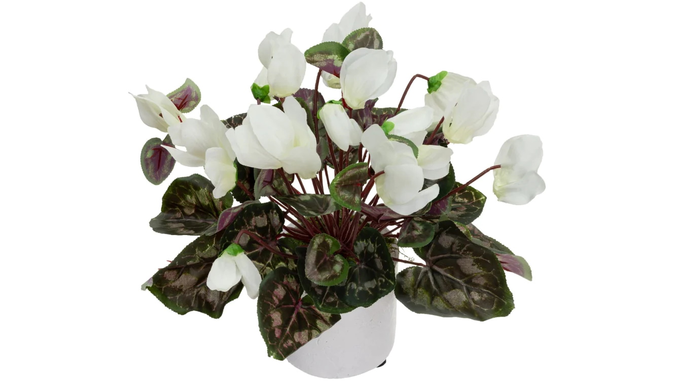 Glamorous Fusion 34cm Cream Cycalmen Artificial Fake Plant in Pot