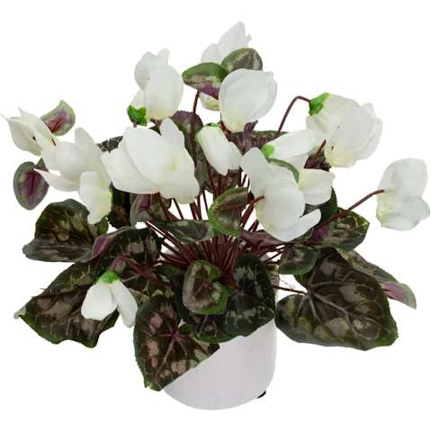 Glamorous Fusion 34cm Cream Cycalmen Artificial Fake Plant in Pot