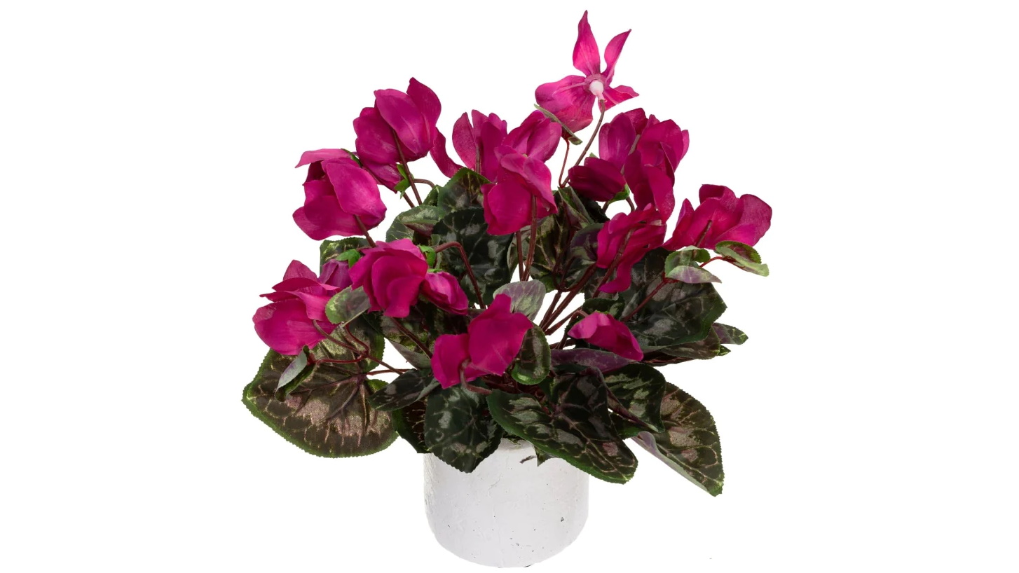 Glamorous Fusion 34cm Fuchsia Cycalmen Artificial Fake Plant in Pot