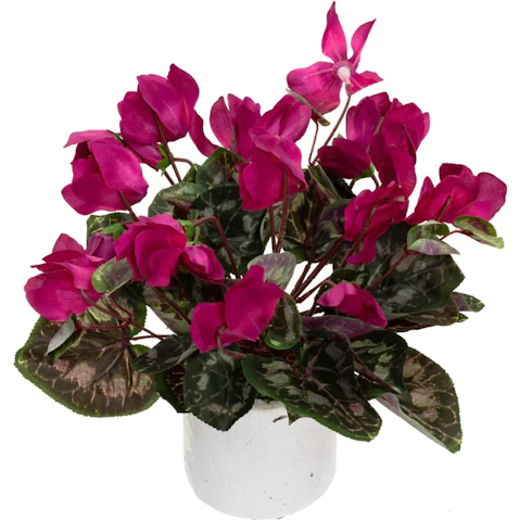 Glamorous Fusion 34cm Fuchsia Cycalmen Artificial Fake Plant in Pot