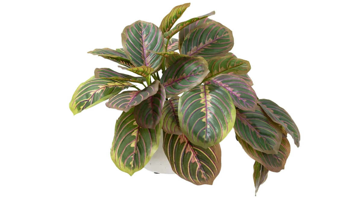 Glamorous Fusion 28cm Purple & Green Peacock Bush Artificial Fake Plant in Pot