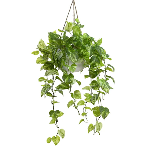 Glamorous Fusion 104cm Marble Green Pothos Bush Artificial Fake Plant in Hanging Planter