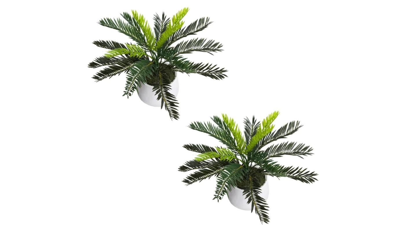 Glamorous Fusion Set of 2 Green Cycas Artificial Plant - 35cm