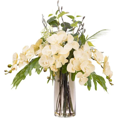 Glamorous Fusion Green/White All Round Orchid Artificial Plant - 76cm