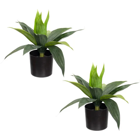 Glamorous Fusion Set Of 2 Small Agave Plant Artificial Faux Plant In Pot - Green