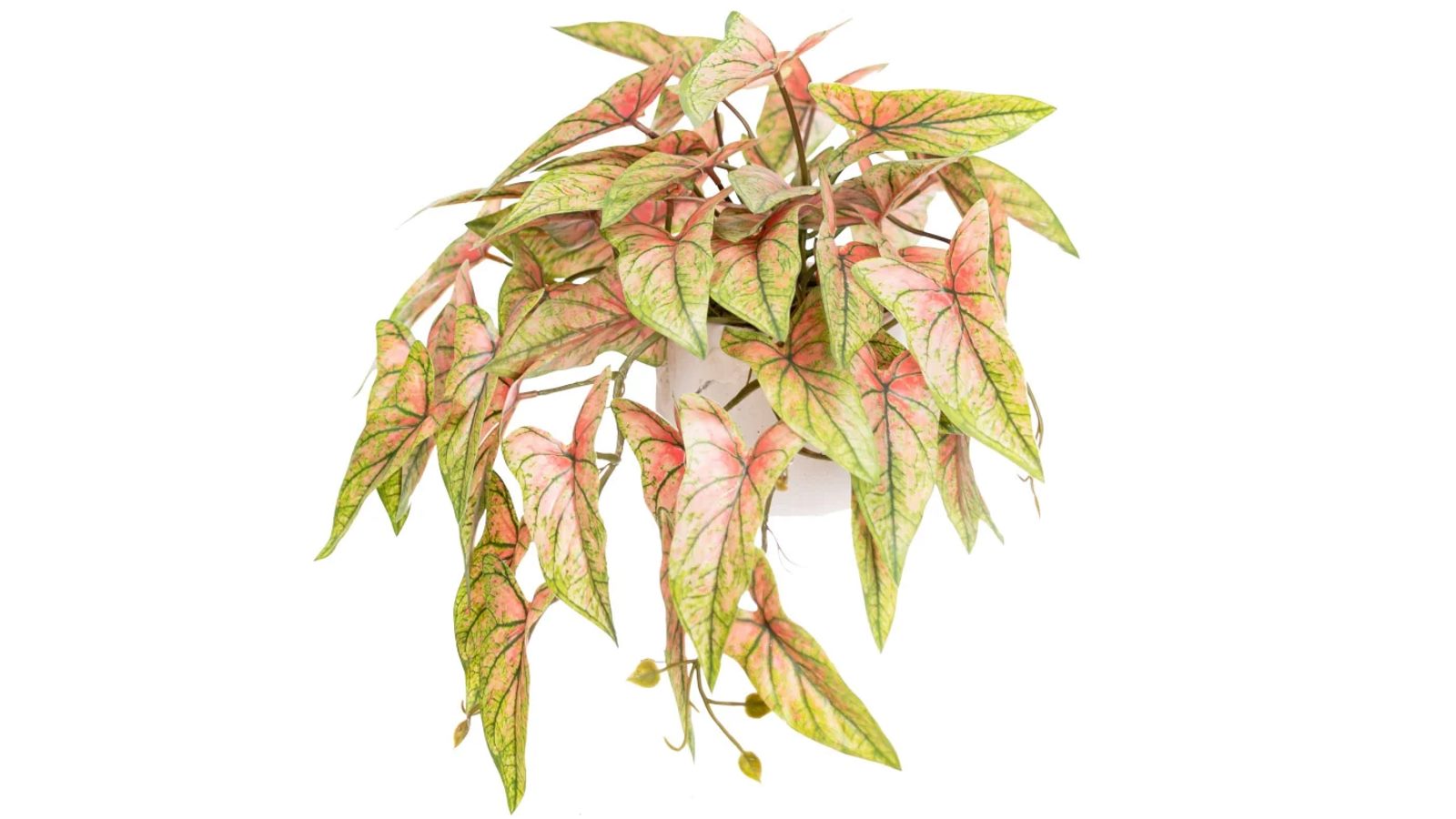 Glamorous Fusion 30cm Syngonium Bush Artificial Faux Plant In Pot - Red