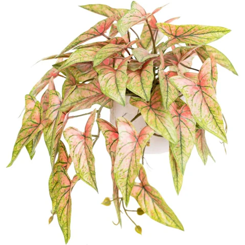 Glamorous Fusion 30cm Syngonium Bush Artificial Faux Plant In Pot - Red
