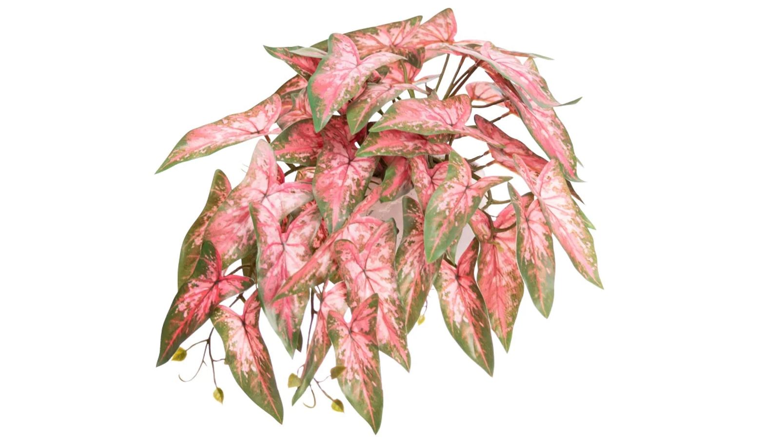 Glamorous Fusion 30cm Syngonium Bush Artificial Faux Plant In Pot - Pink