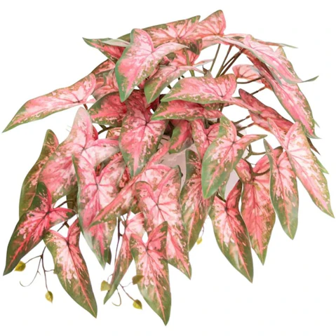 Glamorous Fusion 30cm Syngonium Bush Artificial Faux Plant In Pot - Pink
