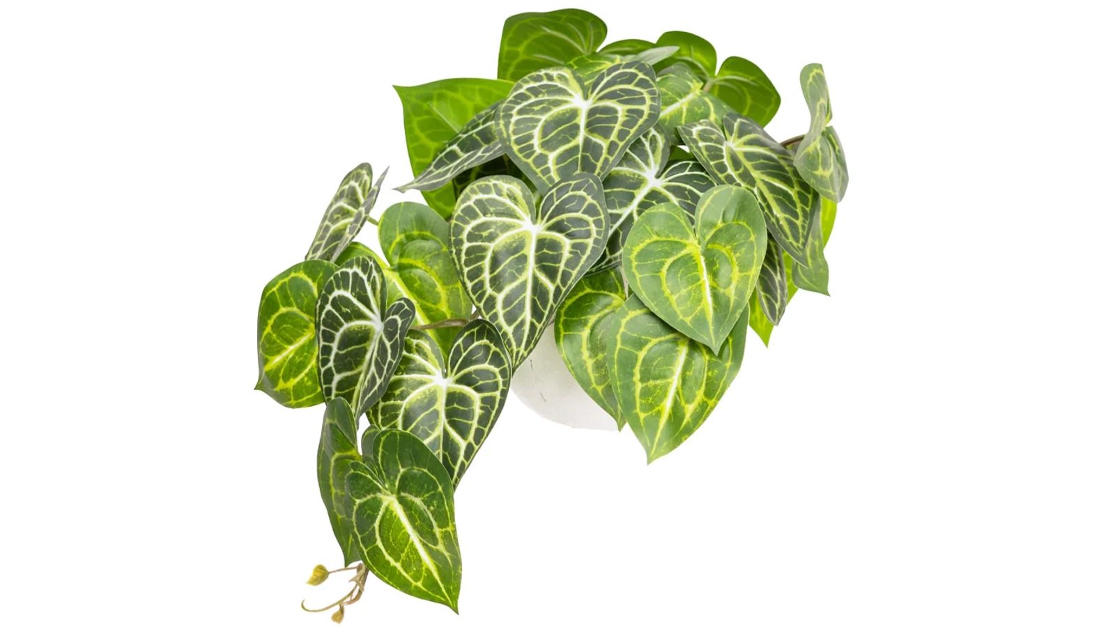 Glamorous Fusion 46cm Caladium Bush Artificial Faux Plant In Pot - Green