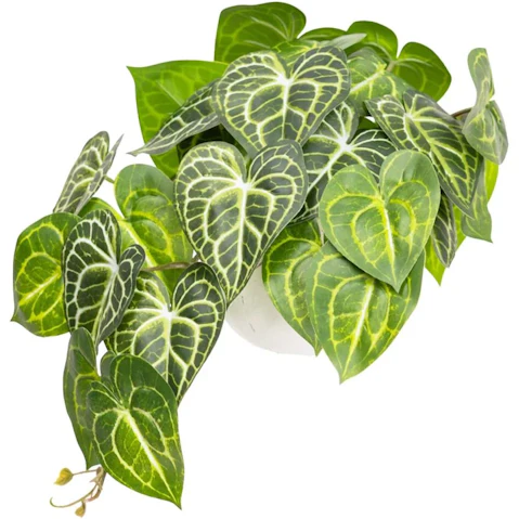 Glamorous Fusion 46cm Caladium Bush Artificial Faux Plant In Pot - Green