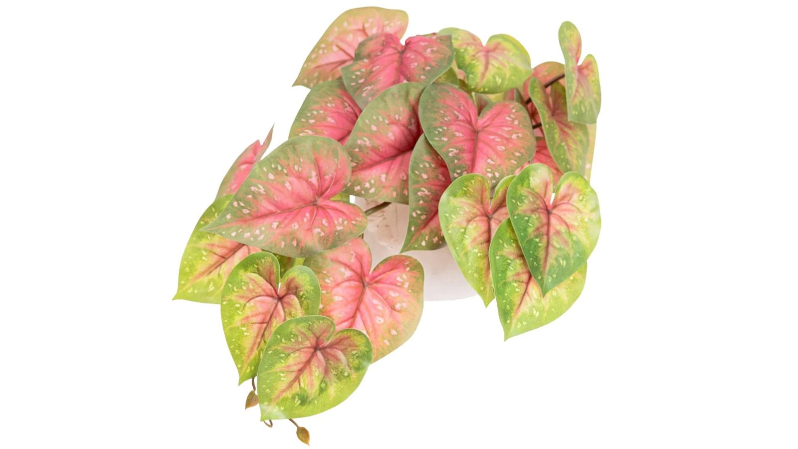 Glamorous Fusion 46cm Caladium Bush Artificial Faux Plant In Pot - Red