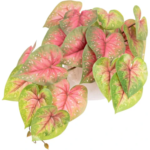 Glamorous Fusion 46cm Caladium Bush Artificial Faux Plant In Pot - Red