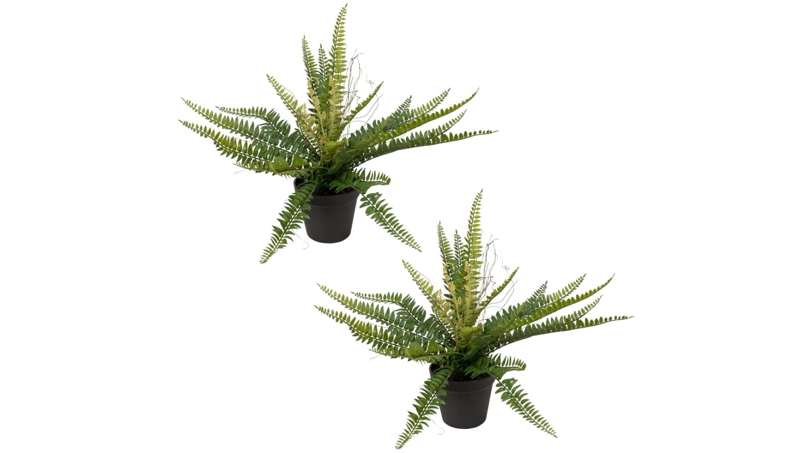 Glamorous Fusion Set Of 2 Potted Ruffle Fern Artificial Faux Plant