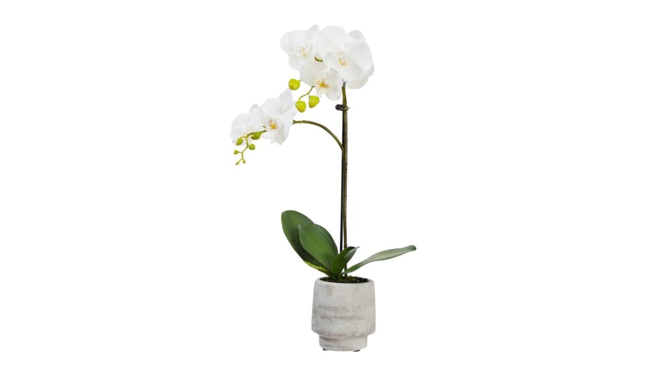 Glamorous Fusion White Orchid Arrangement in Concrete Pot Artificial Plant - 52cm