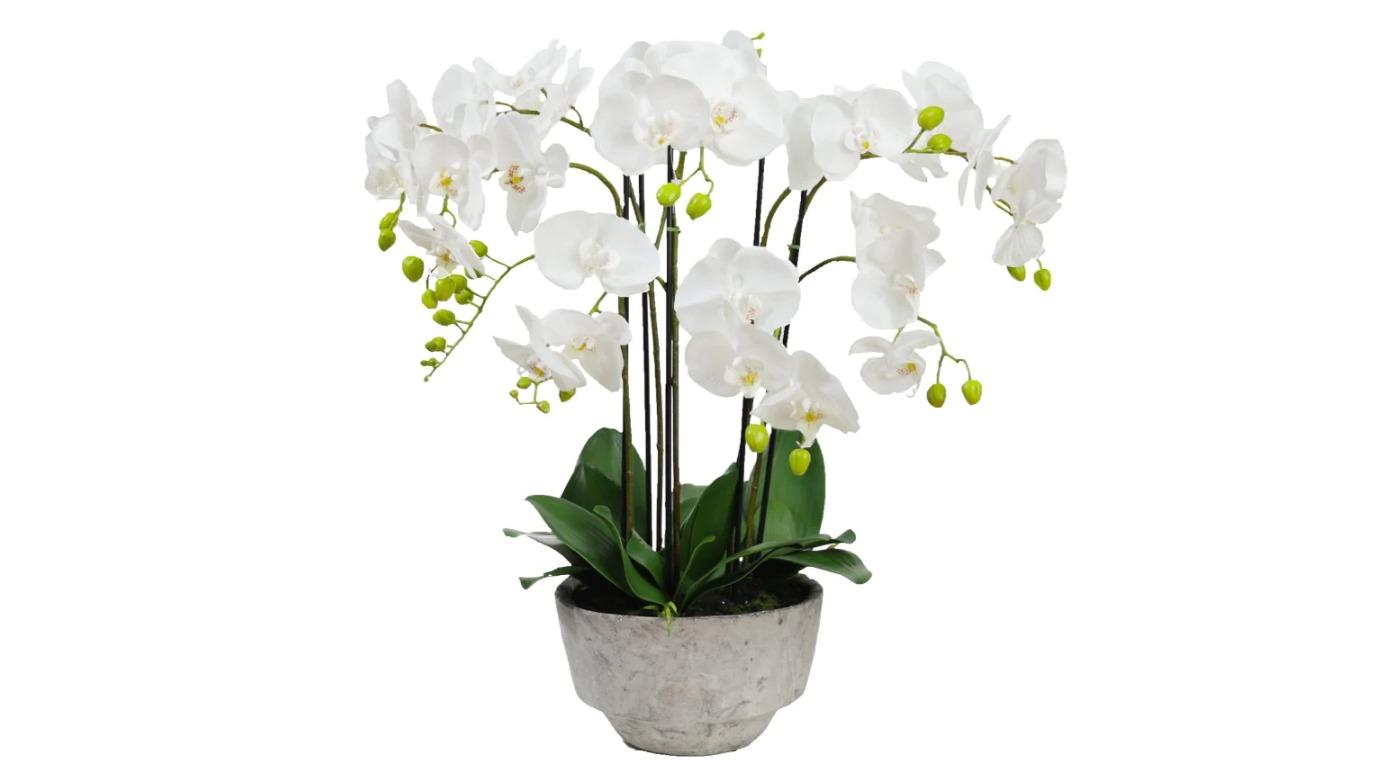 Glamorous Fusion White Orchid Artificial Plant - 78cm