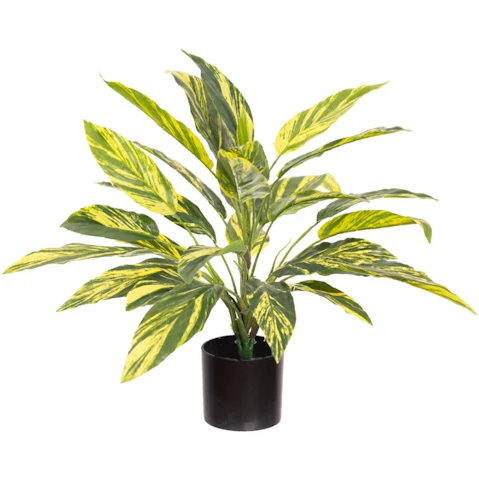 Glamorous Fusion Tracedcantia Bush Artificial Faux Plant in Pot - 45cm