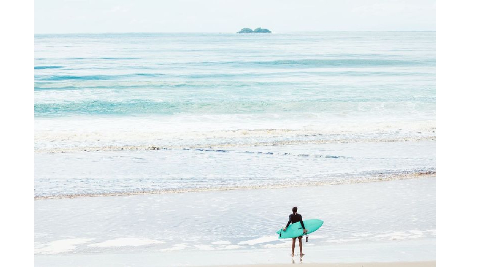 Hendrix store fish surfboard