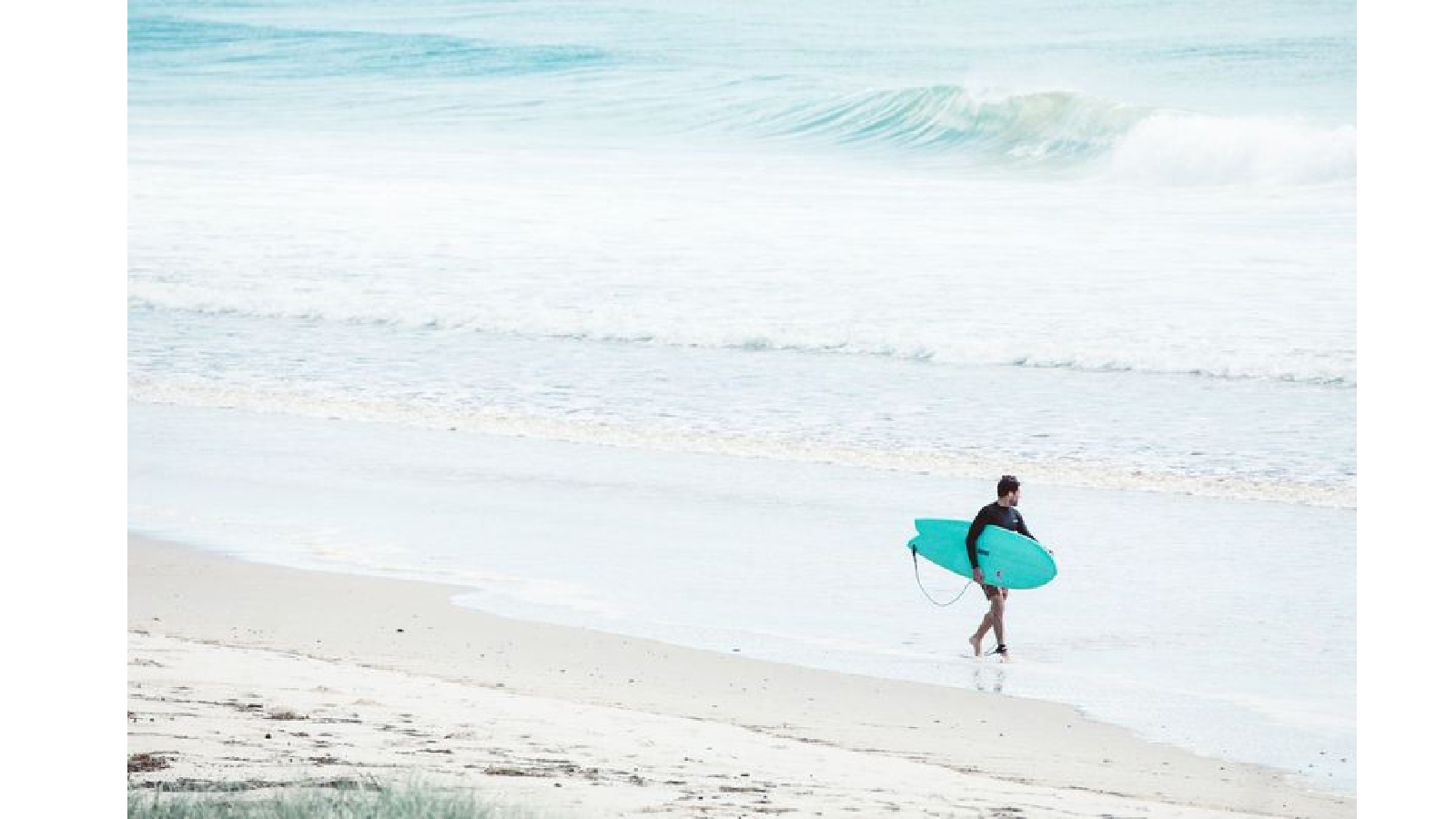 Hendrix store fish surfboard