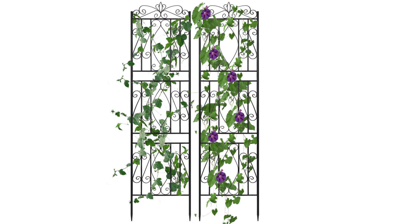 Pretty & Practical Set of 2 Rustproof Garden Trellis for Patio