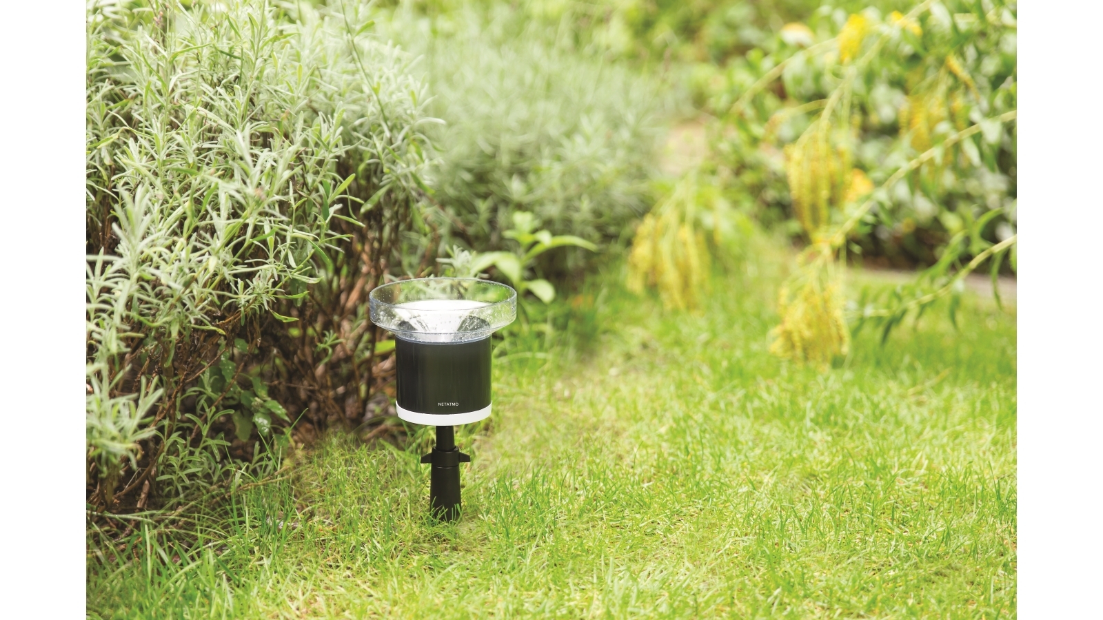 Netatmo Rain Gauge Weather Station Harvey Norman