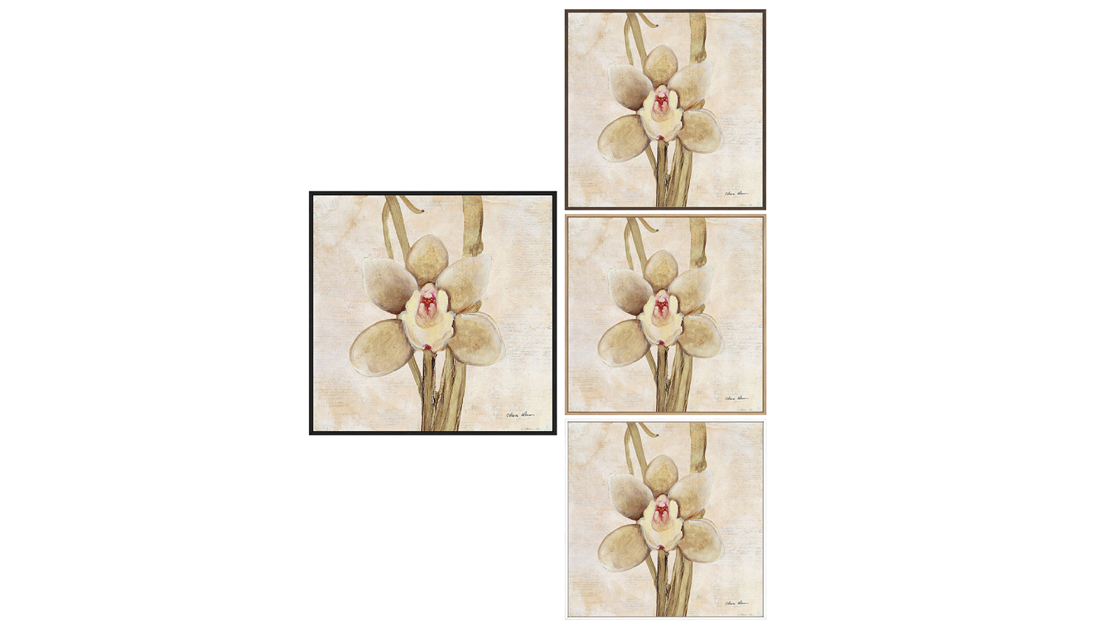 La Grolla Orchid II Gallery Wall Art