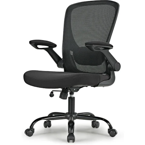 Eureka OC06 ONYX Ergonomic Home/Office Chair - Grey