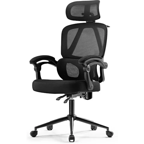 Eureka OC16 Nero Ergonomic Home/Office Chair - Black