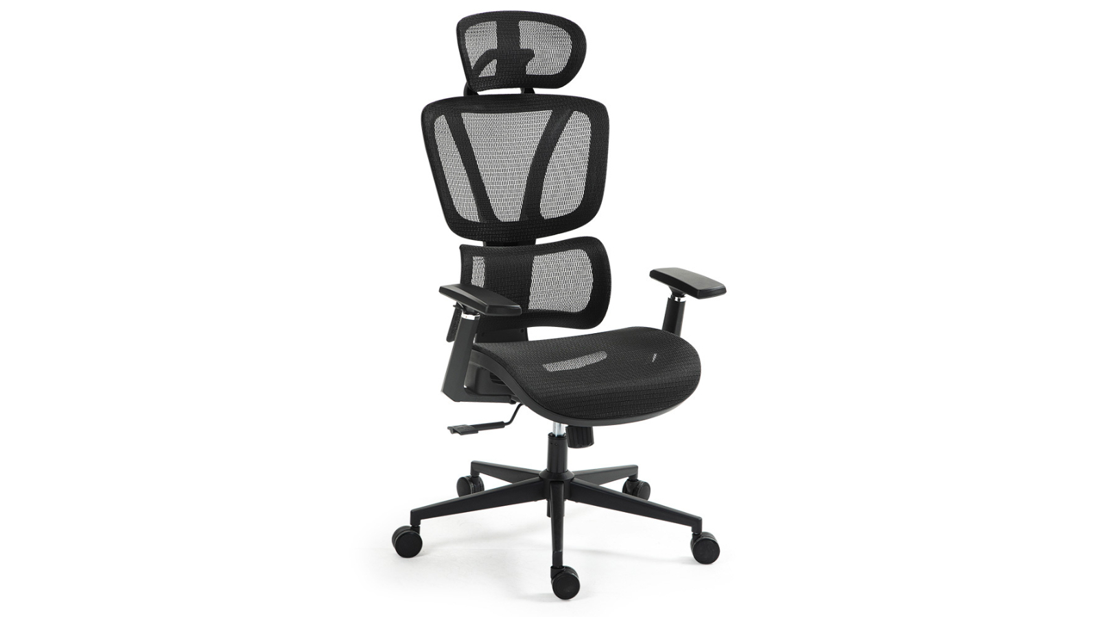Fortia Adjustable Lumbar Support Ergonomic Office Chair - Black Mesh/Black Frame