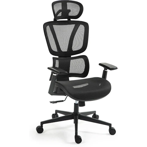Fortia Adjustable Lumbar Support Ergonomic Office Chair - Black Mesh/Black Frame