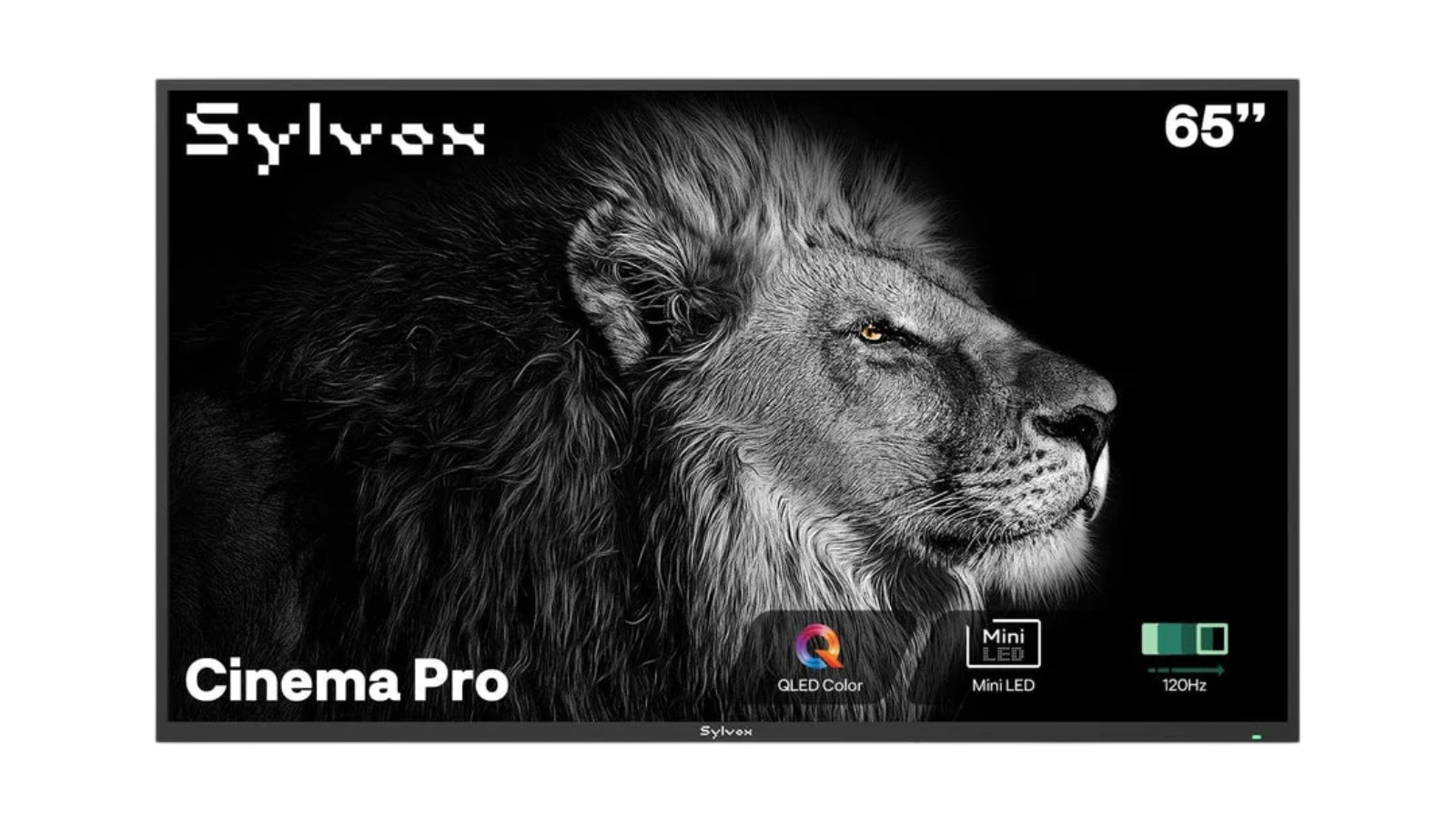 Sylvox Cinema Pro Helio QLED 3500 Nits Outdoor TV - 65inch