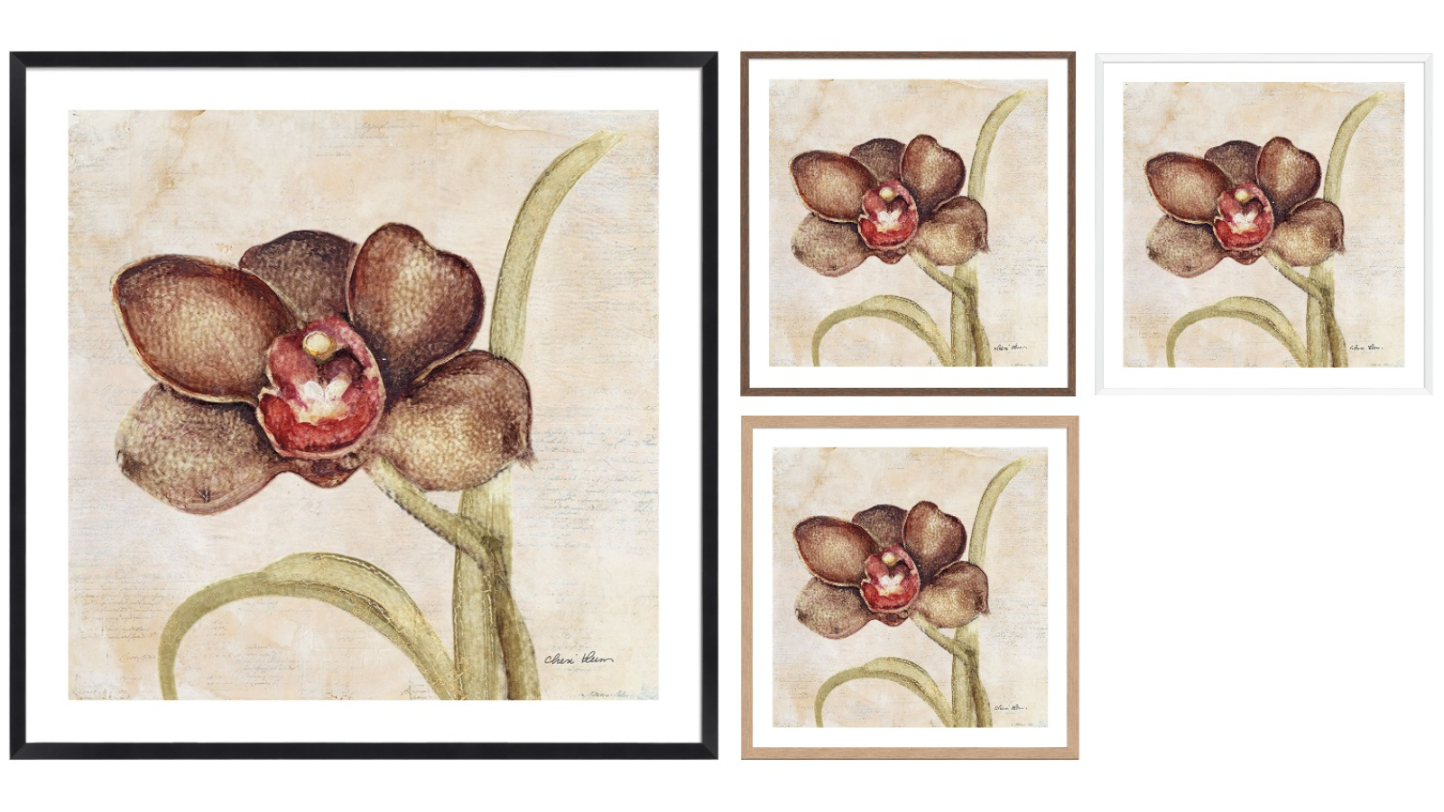 La Grolla Orchid V Frame Wall Art