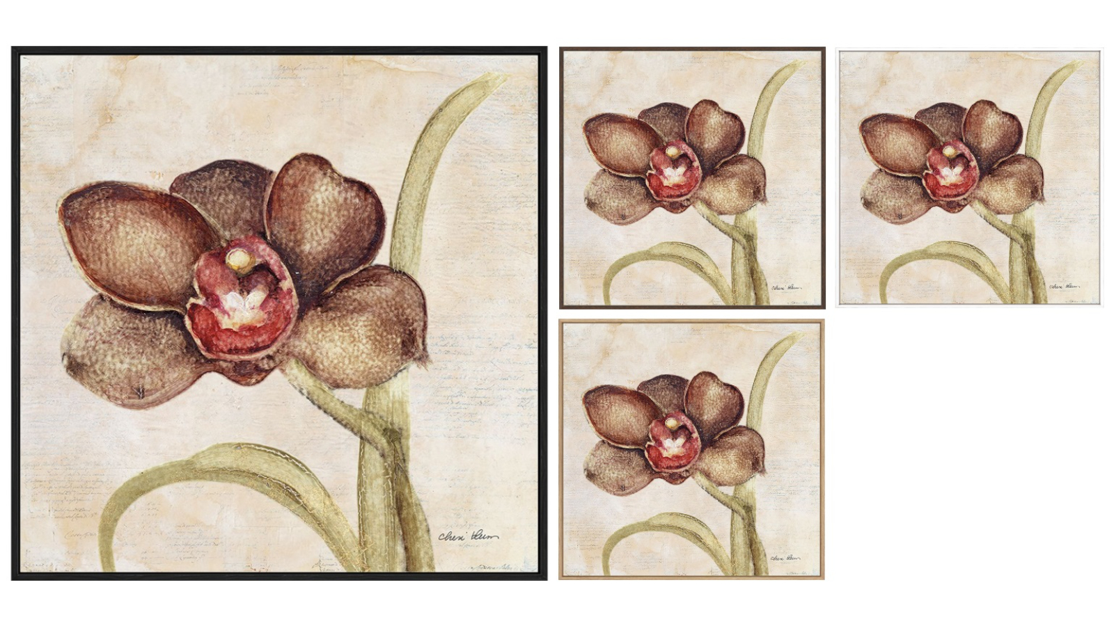 La Grolla Orchid V Gallery Wall Art