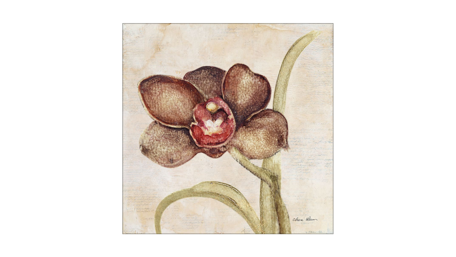 La Grolla Orchid V Unframed Canvas Wall Art