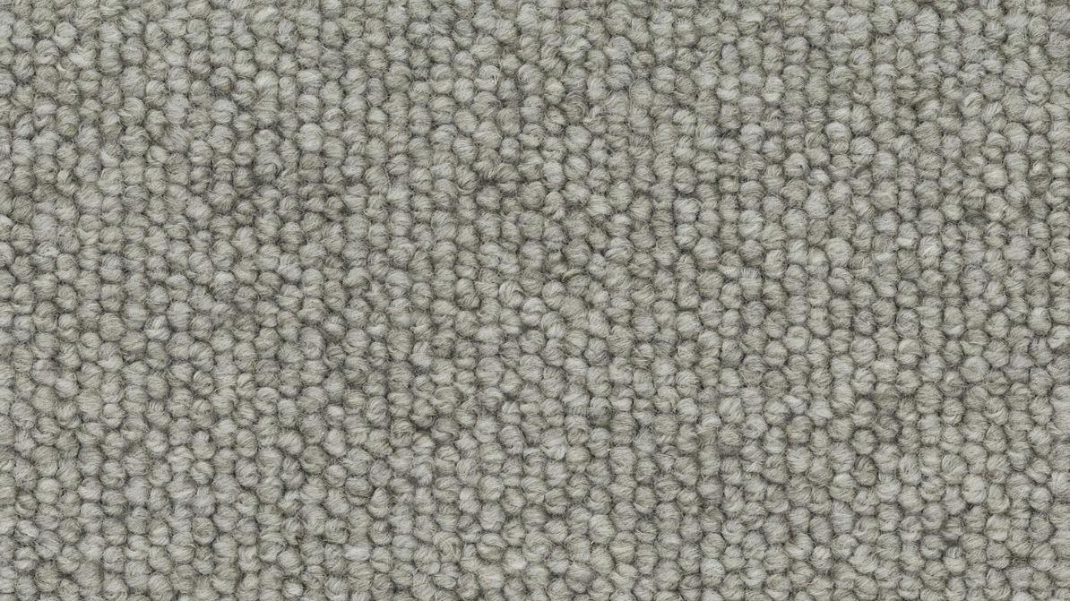 Oyster Shell