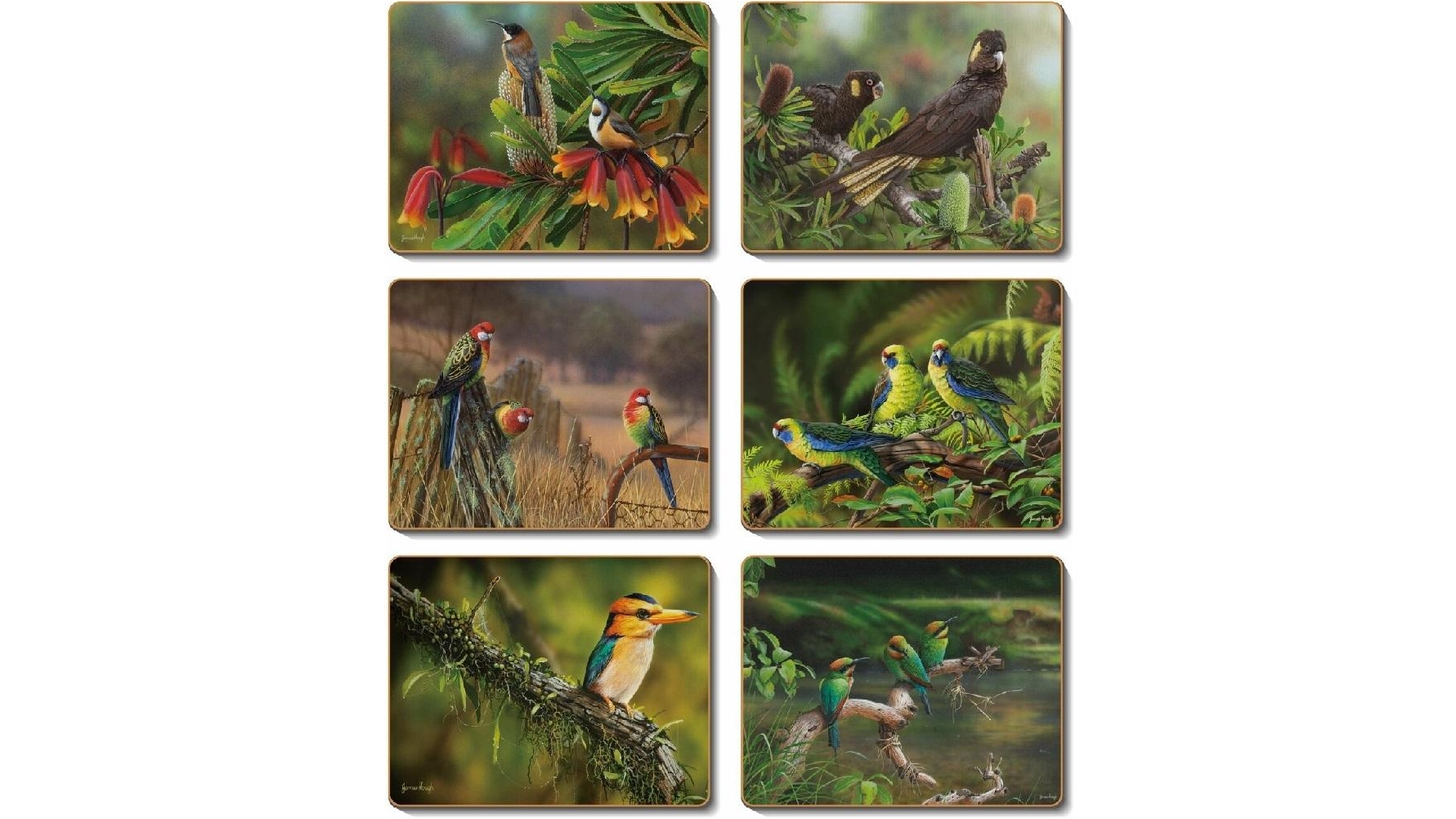Cinnamon Set of 6 Native Heritage Cork Backed Placemats