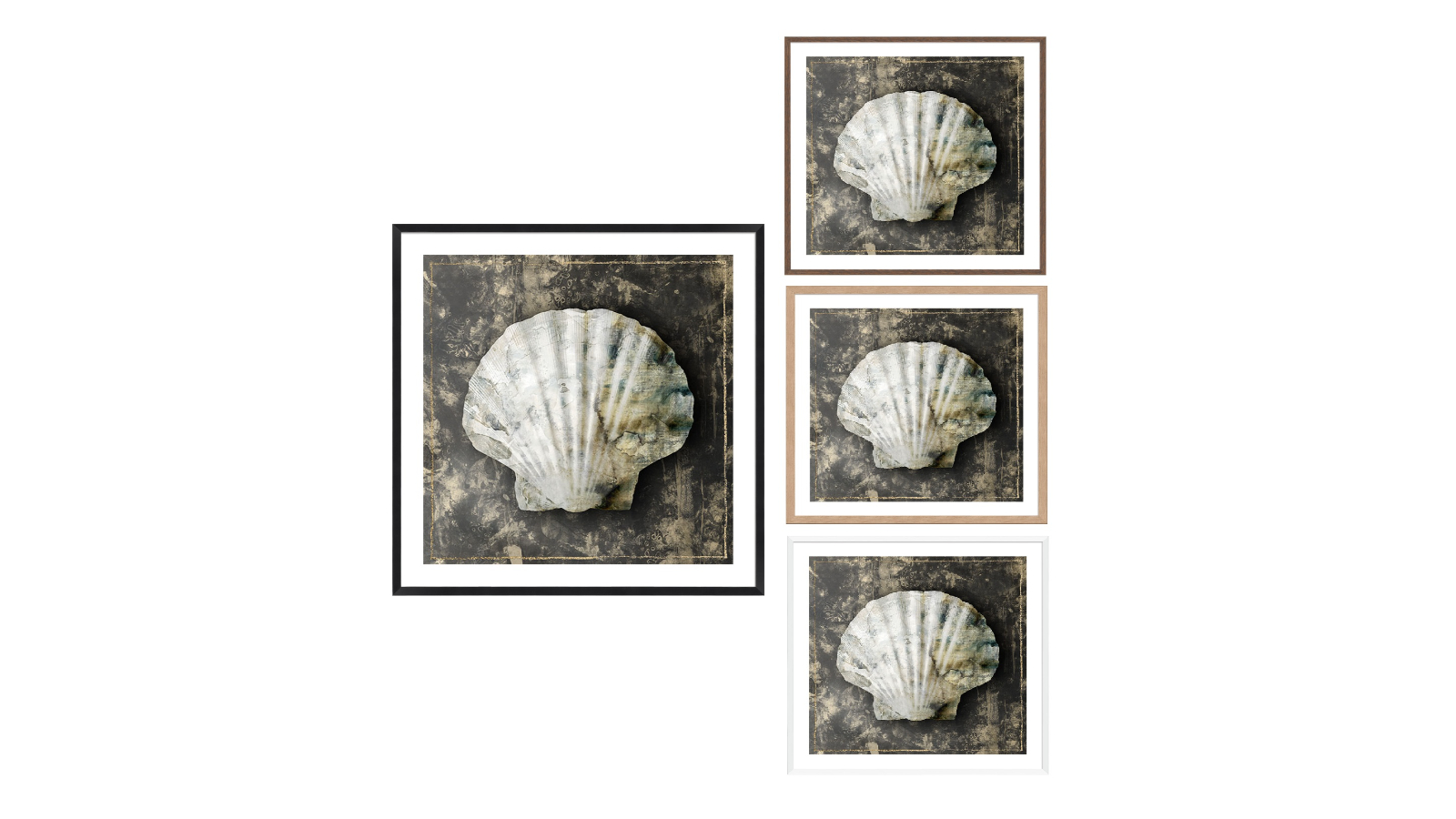 La Grolla Marble Shell Series IV Frame Wall Art