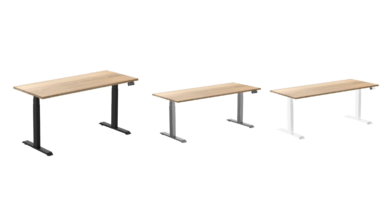 Desky White Ash Dual Hardwood Sit Stand Desk