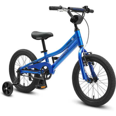 Progear 16inch DuraLite Kids Bike - Azure Blue