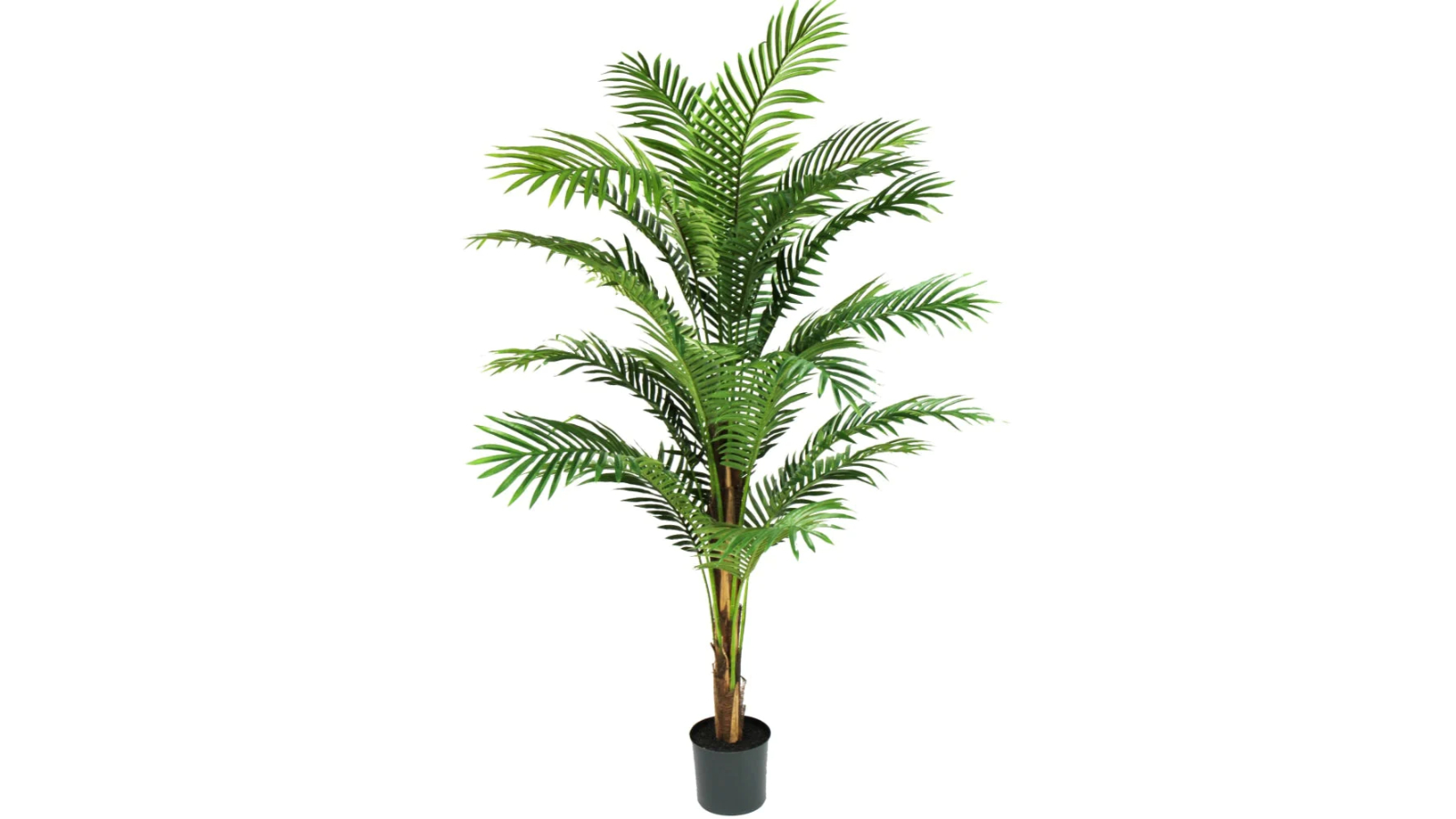 Glamorous Fusion Green Phoenix Palm Tree Artificial Plant in Pot - 183cm