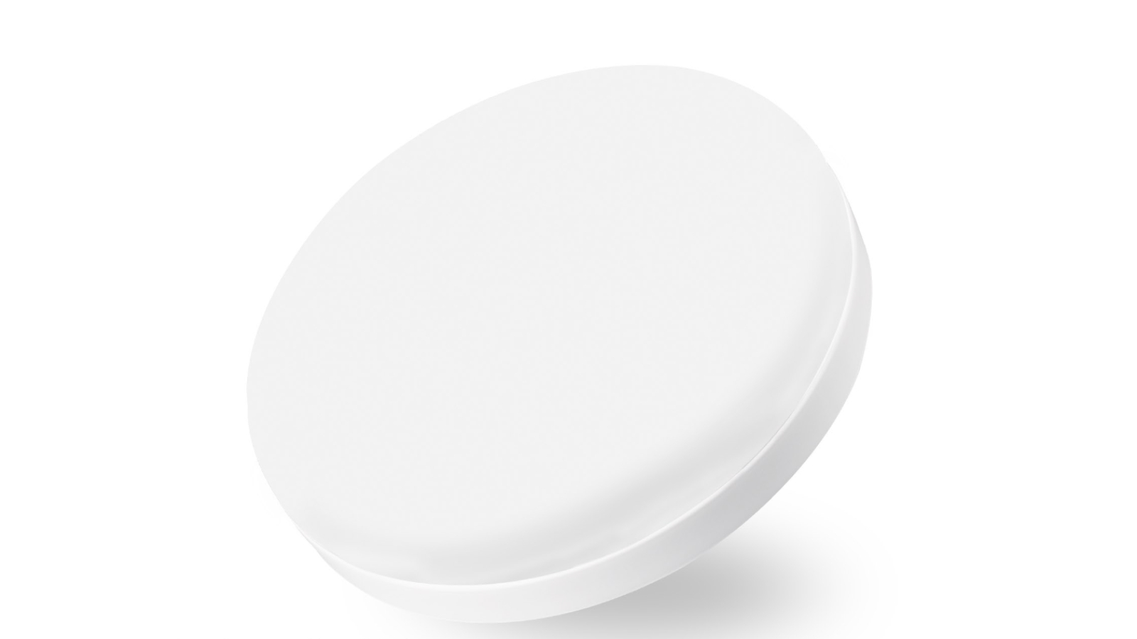 Eli & Co. Lighting Versa 36W LED Oyster Circle Ceiling Light 