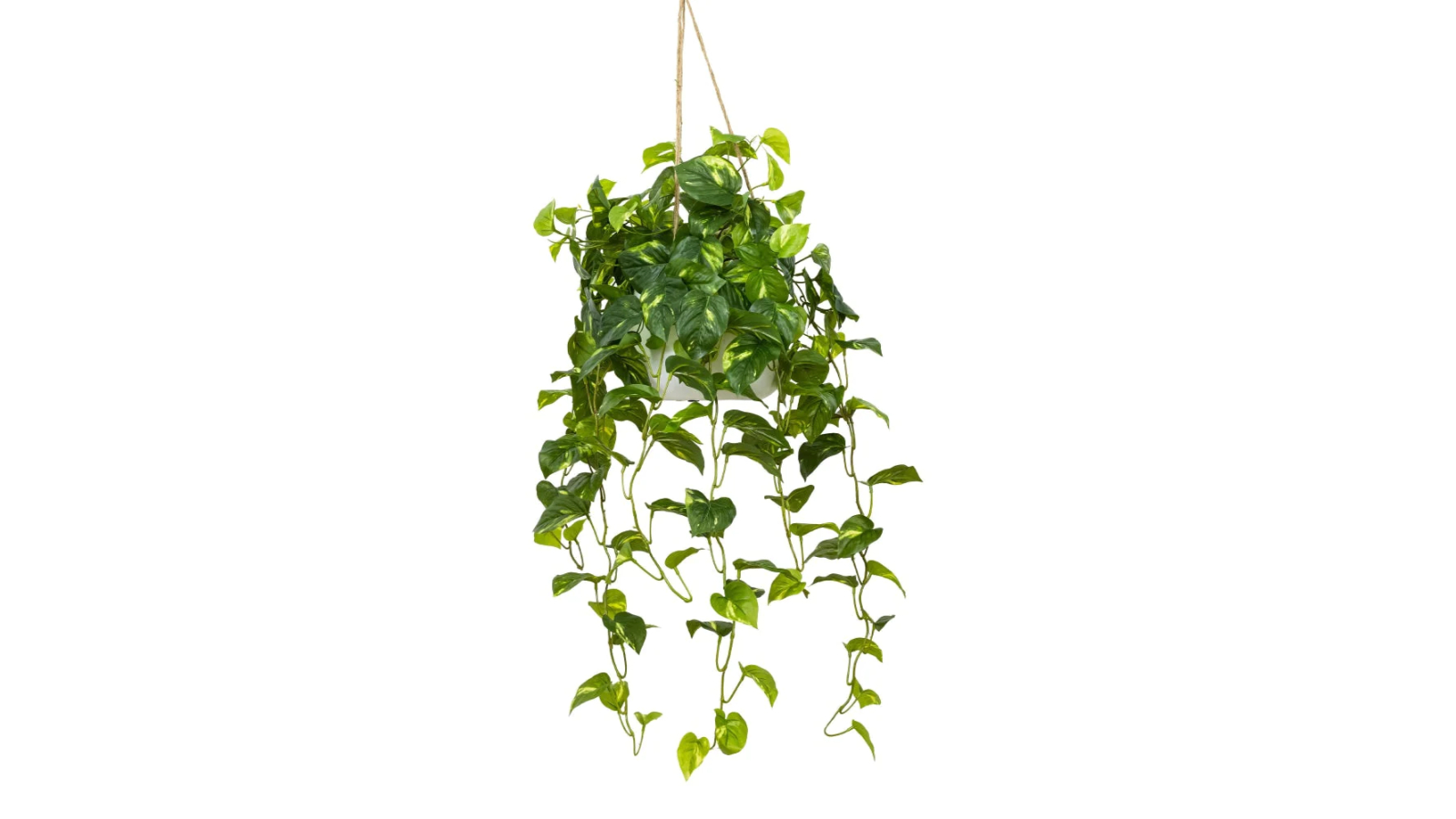 Glamorous Fusion Green Pothos Bush Artificial Hanging Planter with Rope - 104cm