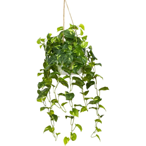 Glamorous Fusion Green Pothos Bush Artificial Hanging Planter with Rope - 104cm