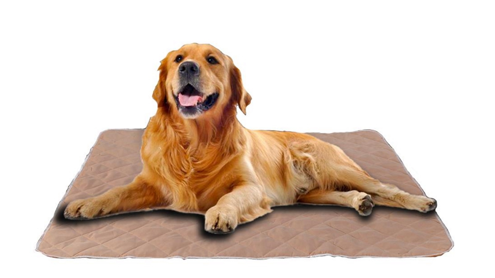 PaWz 2 x Reusable Pet Toilet Training Pad - Type 1