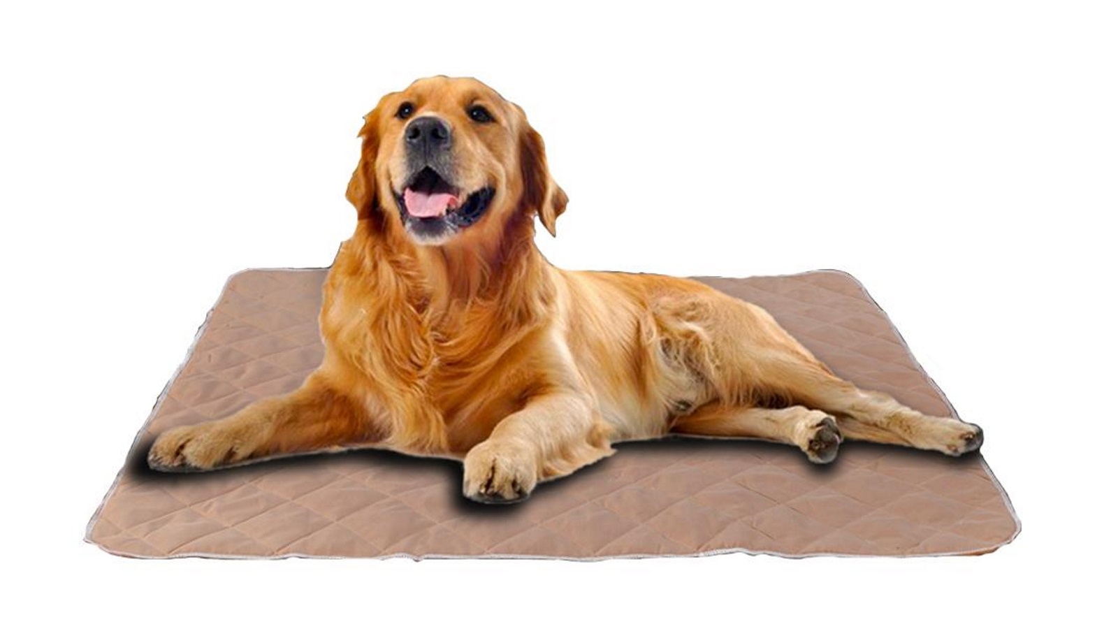PaWz 2 x Reusable Pet Toilet Training Pad - Type 2