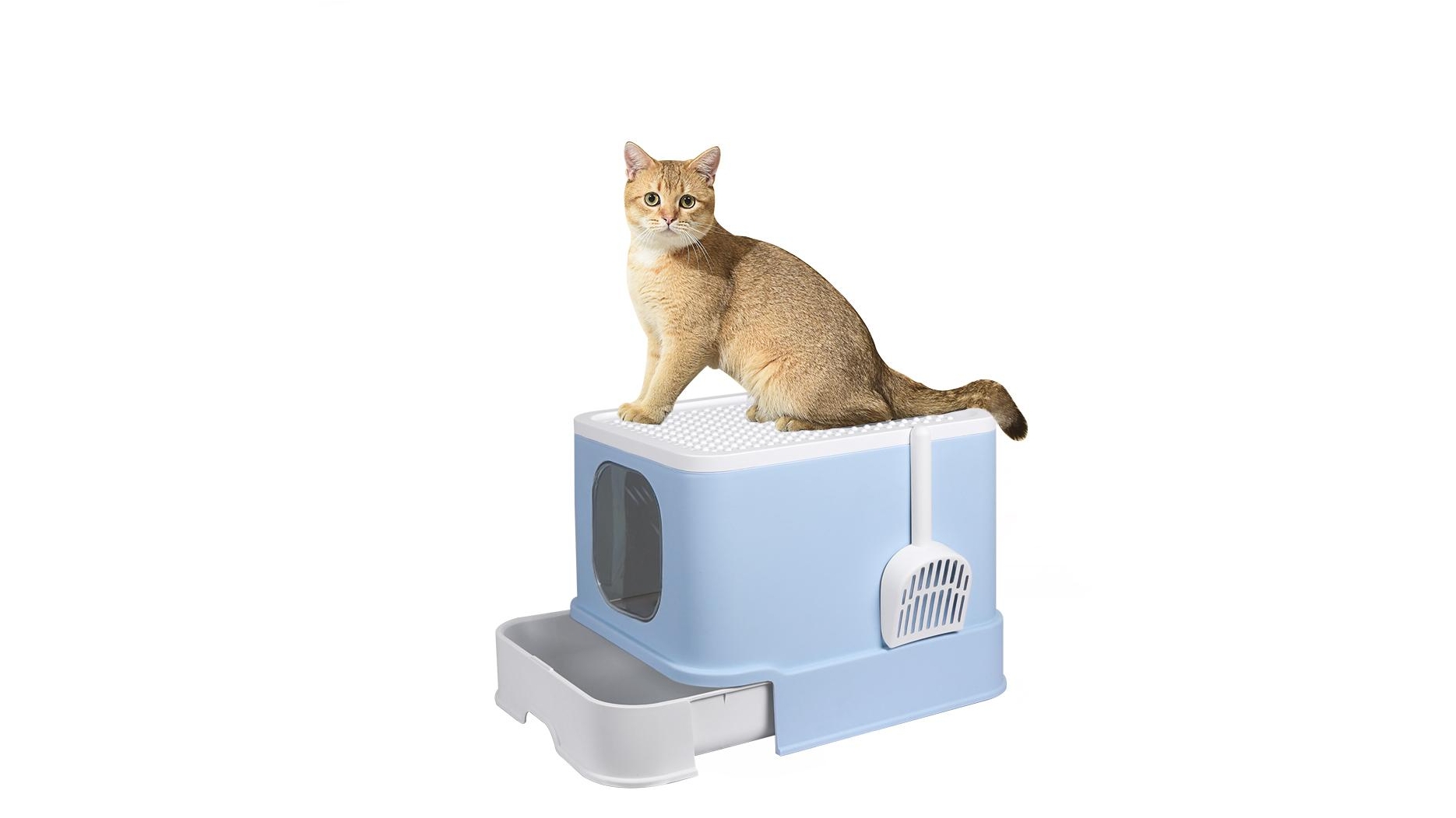 PaWz Cat Litter Box - Blue