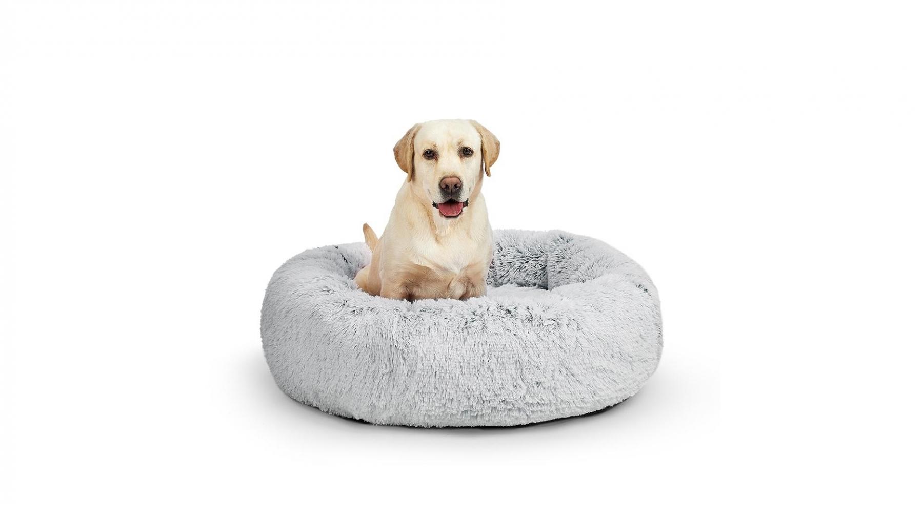 PaWz Pet Bed Cat Dog Donut