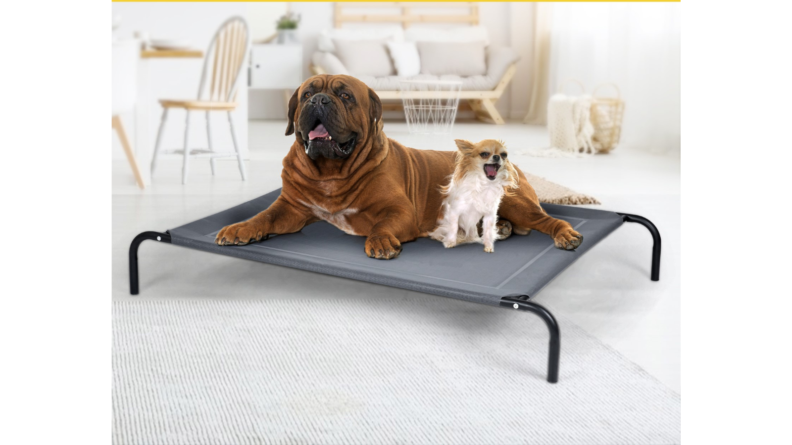 Zqkimzi Erhöhter Hundeschlafplatz - Wasserdicht, Metallgestell, 49x49x19cm