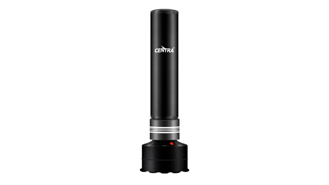 Centra 170cm UFC Kick Punching Free-Standing Speed Bag 
