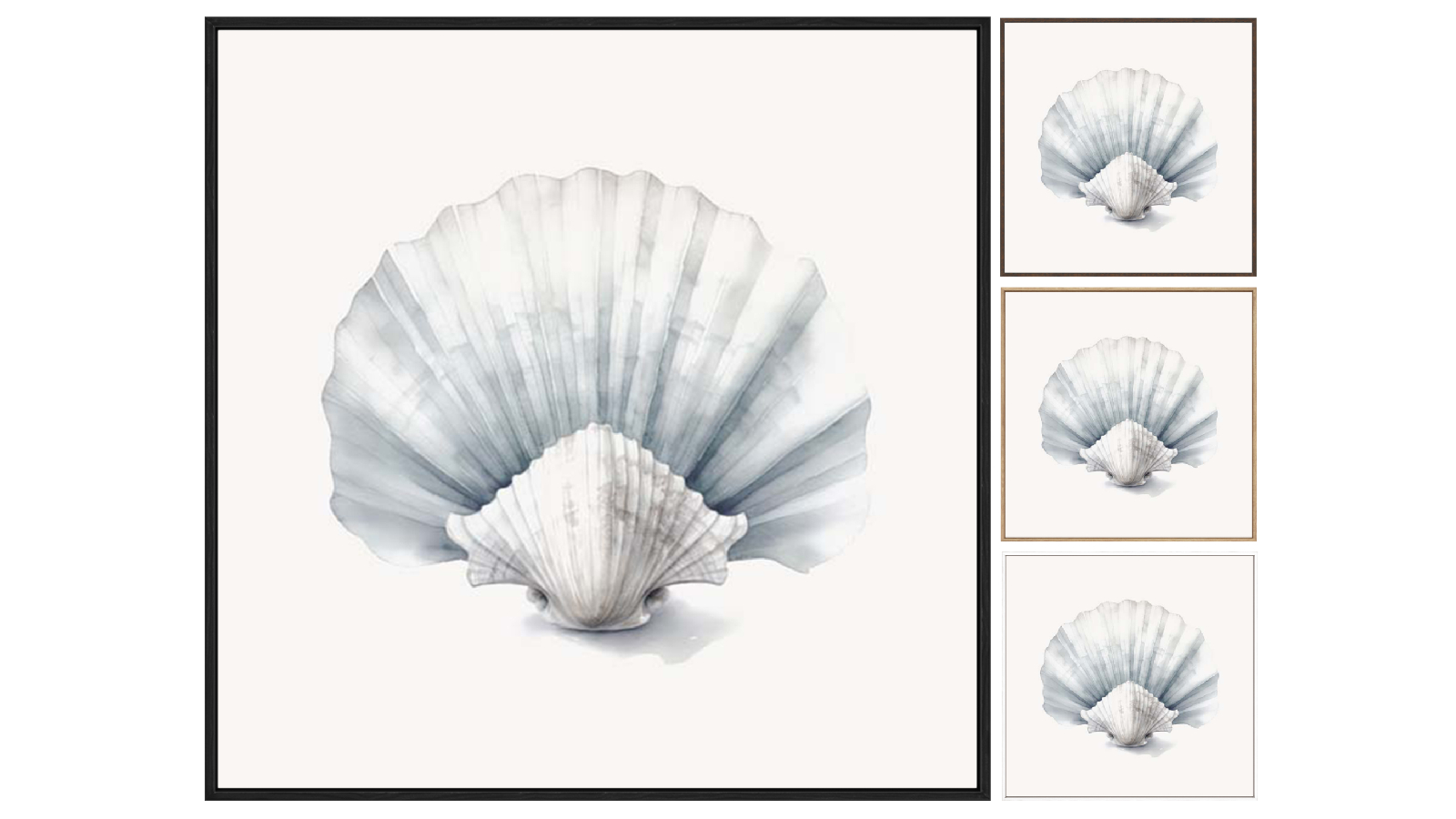 La Grolla Natures Beauty Seashell I Gallery Wall Art